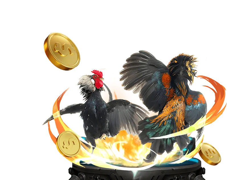 Giải thích kèo nhà cái .5