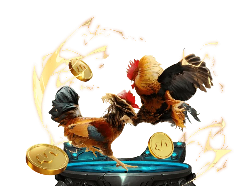 Người chơi quản lý tài chính và đặt cược có trách nhiệm